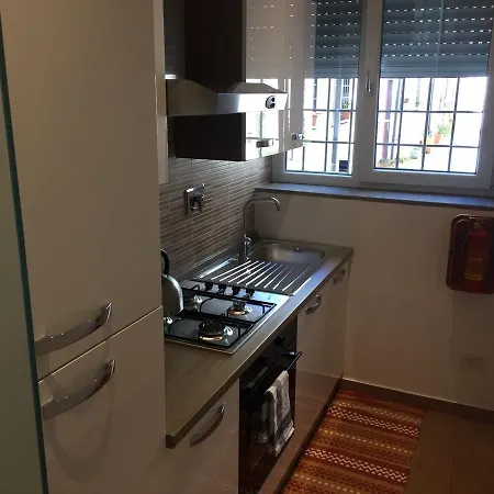 Kings Of Tatil Evi *