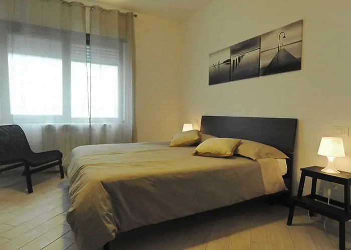 Kings Of Сasa de vacaciones